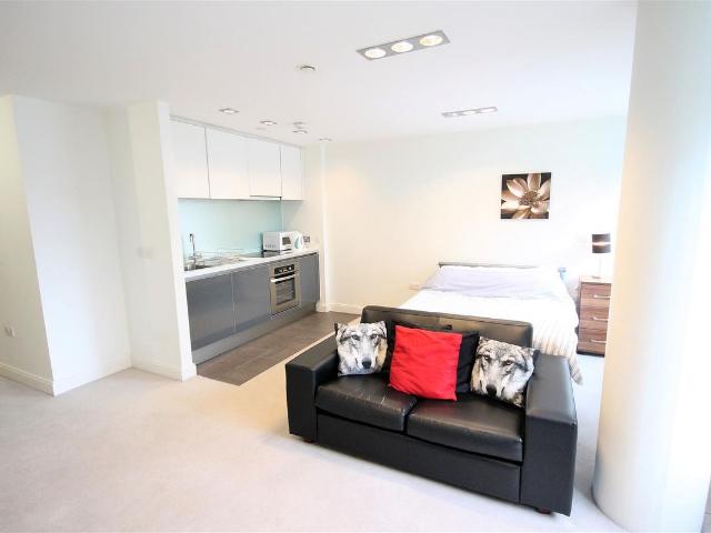 Studio for rent in Waterfront, Calderstones