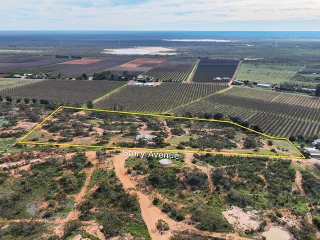 House for sale in Renmark, South Australia
