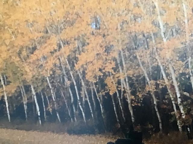 Land for sale in Manitoba