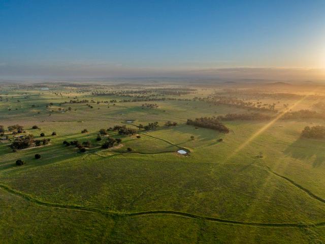 Cottage for sale in One Tree Hill, Dubbo Regional Council