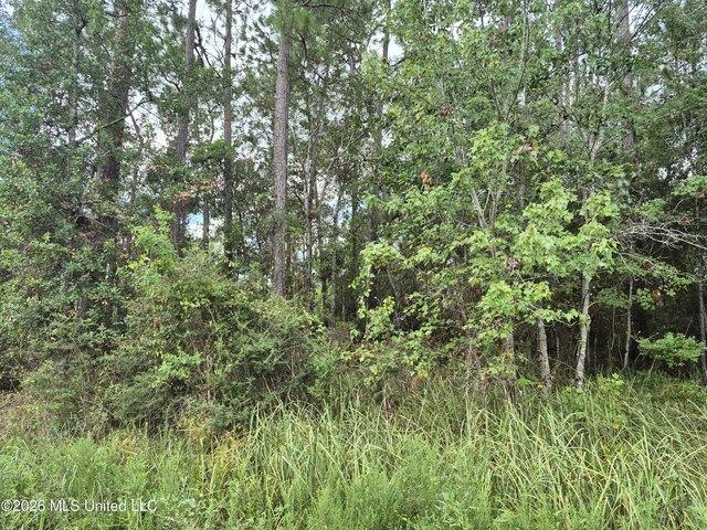 Land for sale in Bay Saint Louis, Mississippi