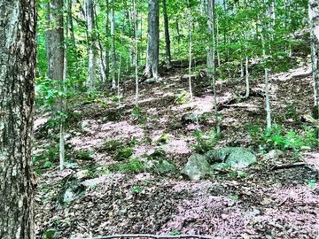 Land for sale in Old Forge, New York