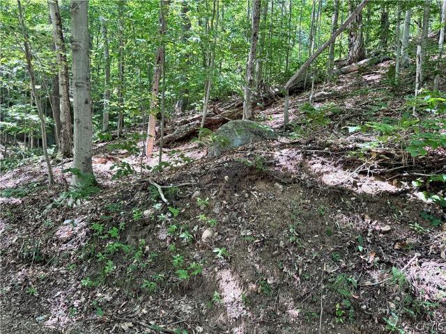 Land for sale in Old Forge, New York