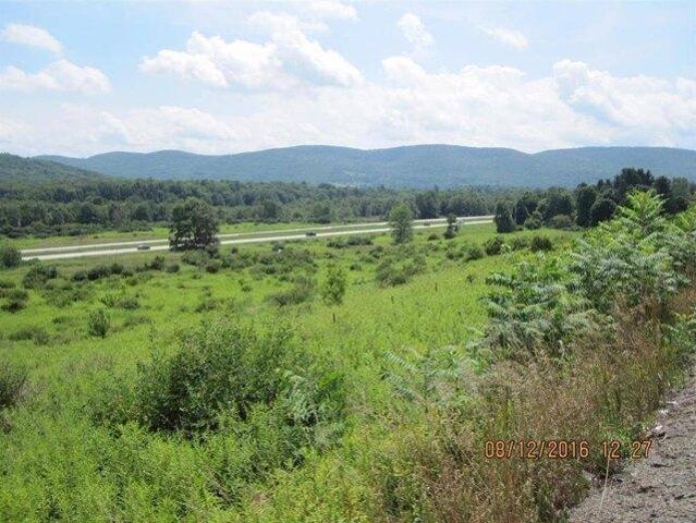 Land for sale in Oneonta, New York