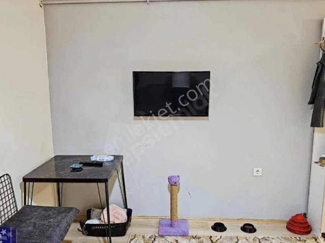 Ereğli, Zonguldak içerisinde kiralık mülk