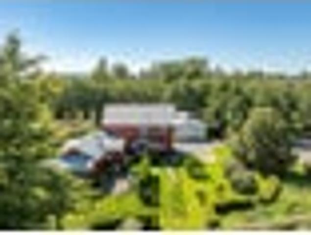 House for rent in Ongaonga