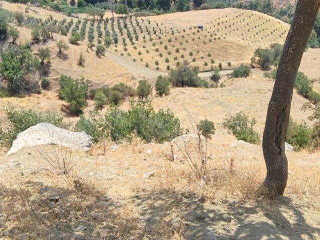 Kahramanmaraş içerisinde satılık Arsa