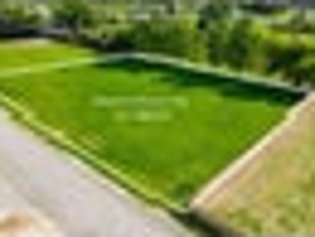 Land for sale in Waimate, Canterbury