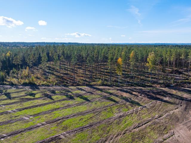 Tomt till salu i Karlstad, Värmland