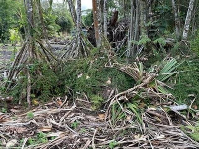 Land for sale in Pahoa, Hawaiʻi County