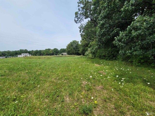 Land for sale in Onsted, Michigan