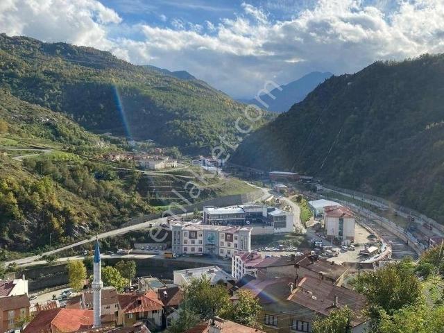 Murgul, Artvin içerisinde satılık mülk