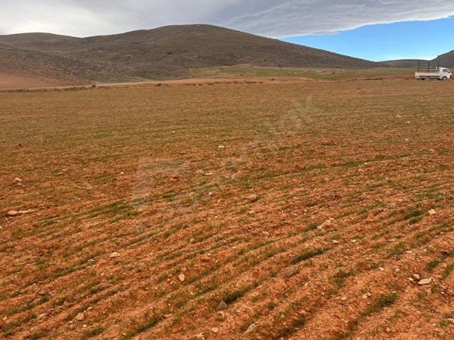 Niğde içerisinde satılık Arsa
