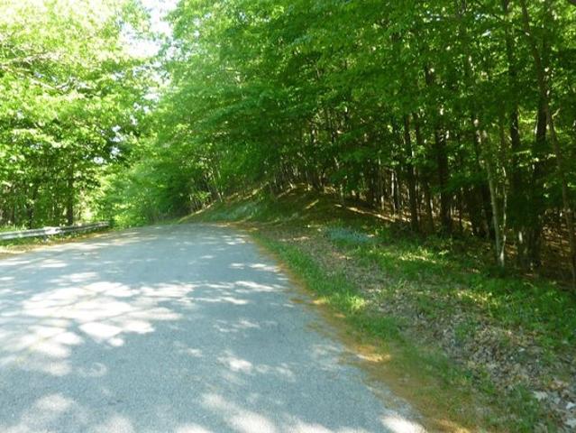 Land for sale in Frankfort, Michigan