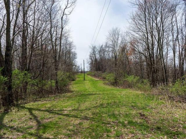 Farm for sale in Valley Grove, West Virginia