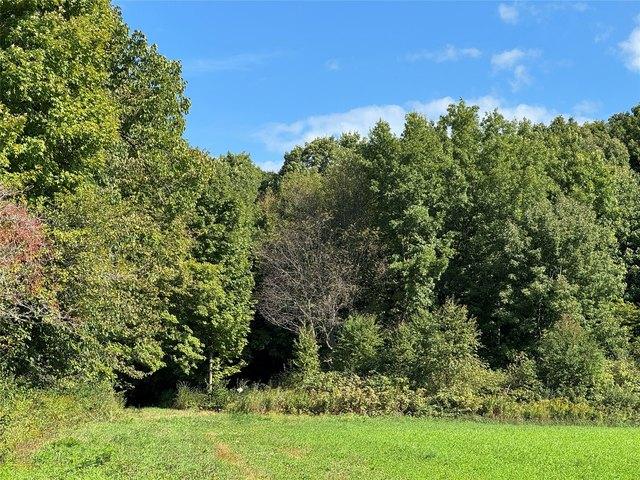 Land for sale in Merrill, Wisconsin