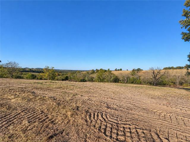 Land for sale in Boone, Lead Hill