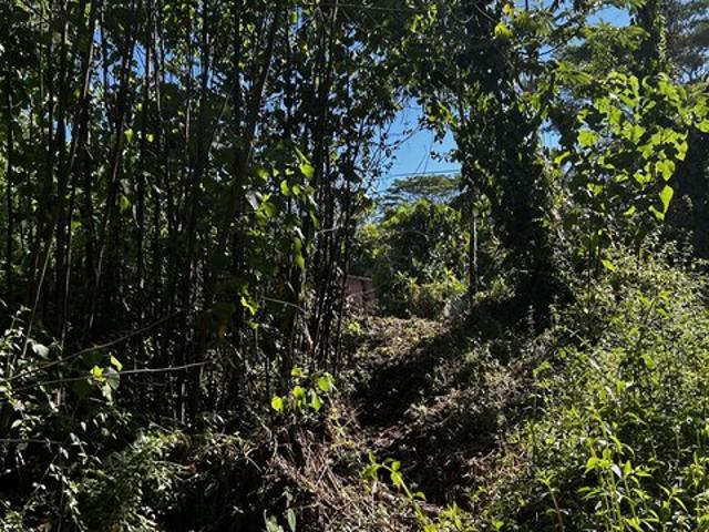 Land for sale in Pahoa, Hawaii