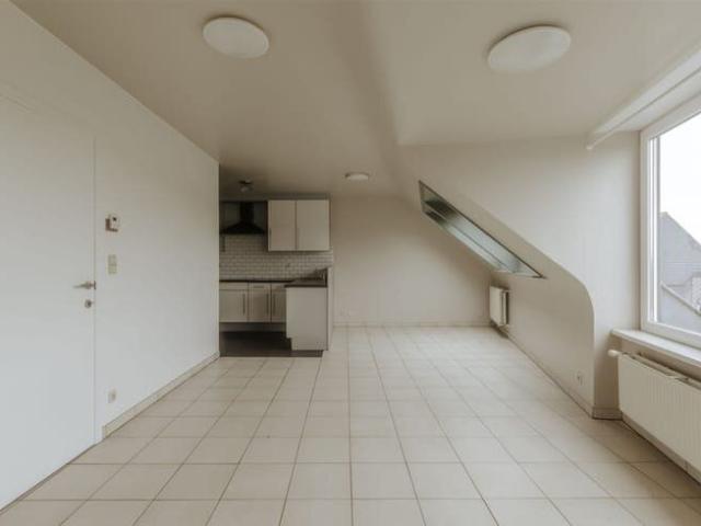 Appartement location à Audenarde, Oost-Vlaanderen