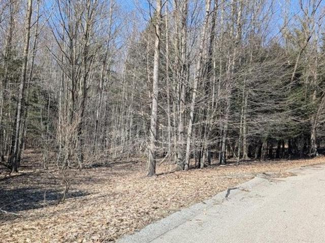 Land for sale in Onekama, Michigan