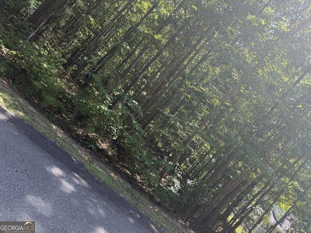 Land for sale in Luthersville, Georgia