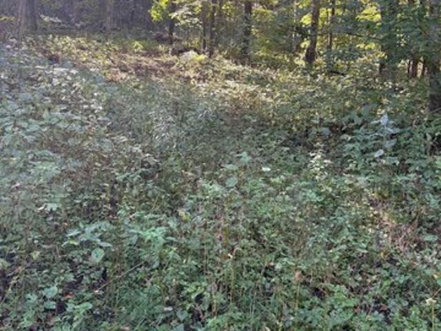 Land for sale in Gays Mills, Wisconsin