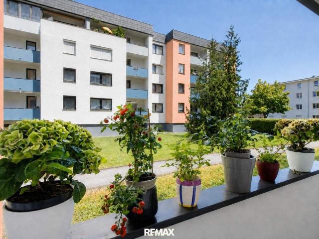 Wohnung kaufen in Kirchdorf, Pernegg an der Mur