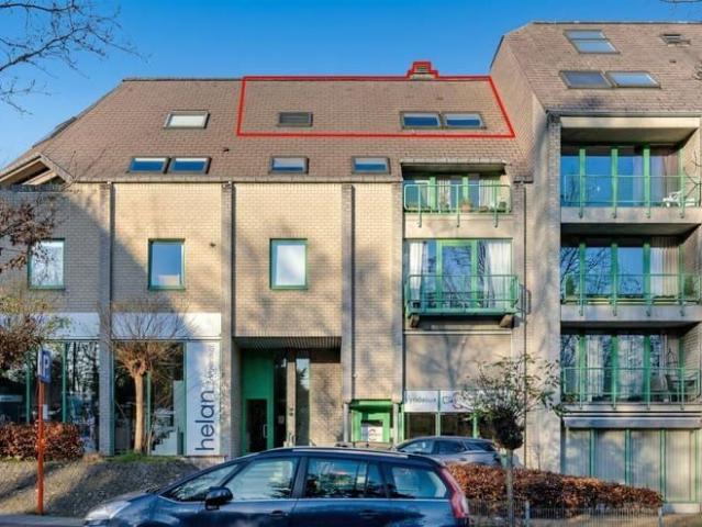 Kot location à Lava, Brabant