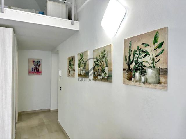 Villa Indipendente in affitto a Andria, Barletta-Andria-Trani