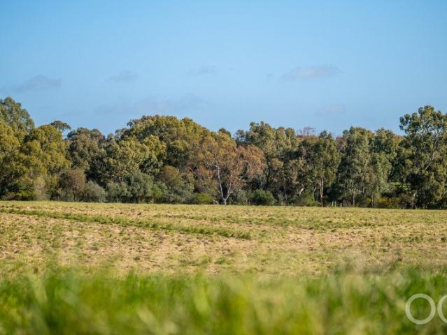 Land for sale in Horseshoe Creek, South Australia
