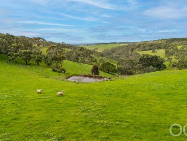 Cottage for sale in Horseshoe Creek, South Australia