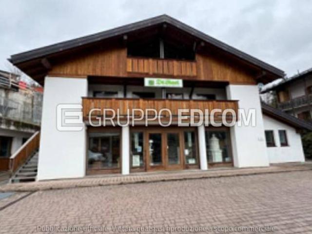 Locale Commerciale in vendita a Pieve Di Cadore, Veneto