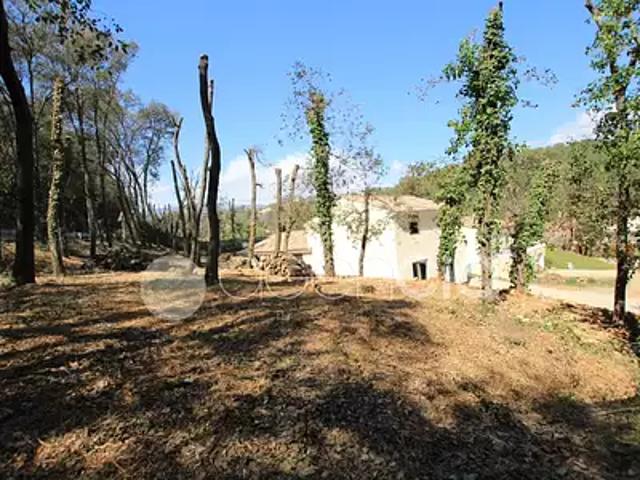 Maison vente à Grasse, Opio