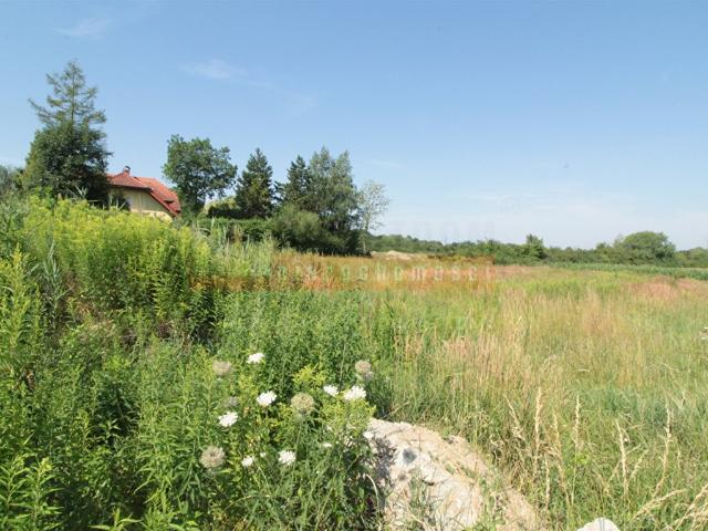 Grunt na sprzedaż w Opole, Opolskie