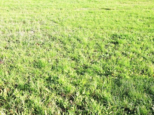 Grunt na sprzedaż w Opole, Opolskie