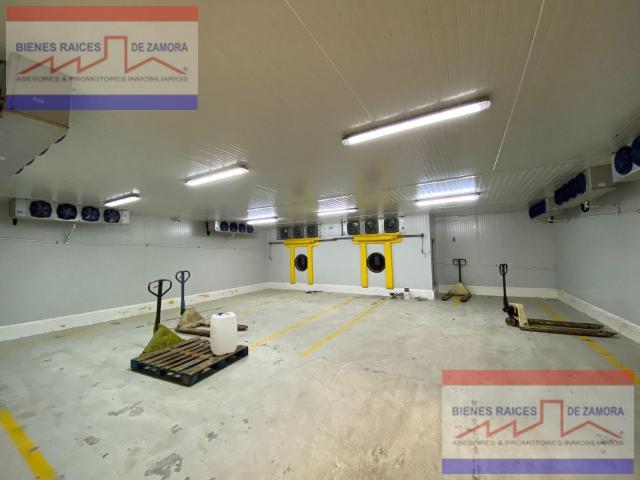 Nave Industrial en venta en Jacona, Michoacán