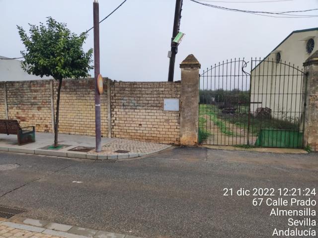 Terreno en venta en Almensilla