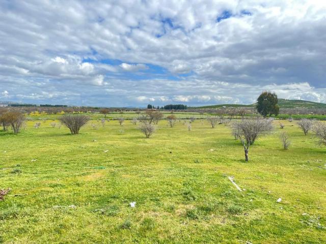 Oportunidad 5000m2 Parcelas en San Javier, Crédito Directo