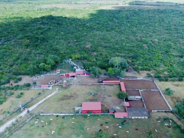Rancho en venta en Panabá, Yucatán