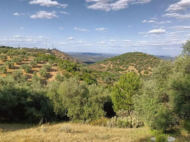 Terreno en venta en Distrito Centro, Córdoba