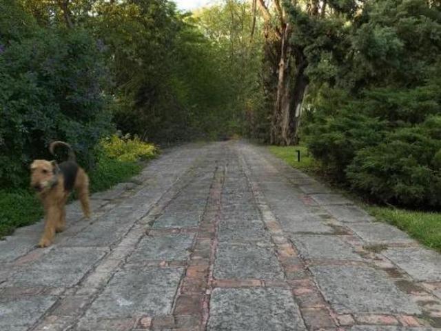 Rancho en venta en Apaseo El Grande, Guanajuato