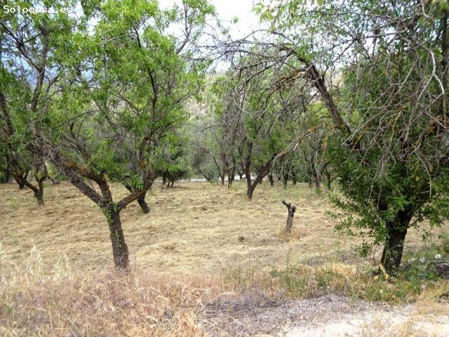 Casa en venta en Comarca de la Vega de Granada, Andalucía
