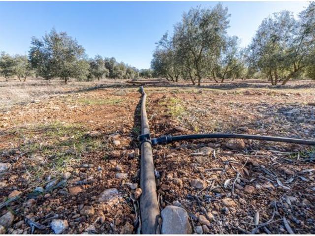 Local Comercial en venta en Comarca de la Vega de Granada, Andalucía