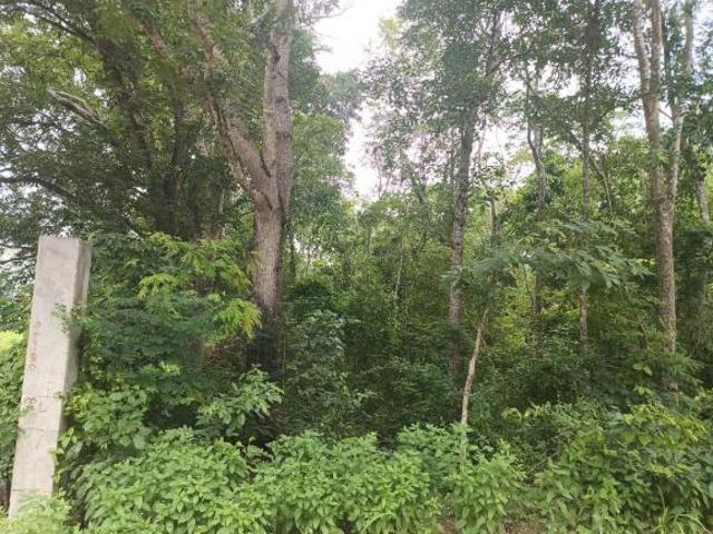 Terreno en venta en Champotón, Campeche
