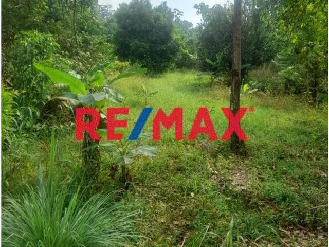 Terreno venta en San Juan Bautista, Loreto