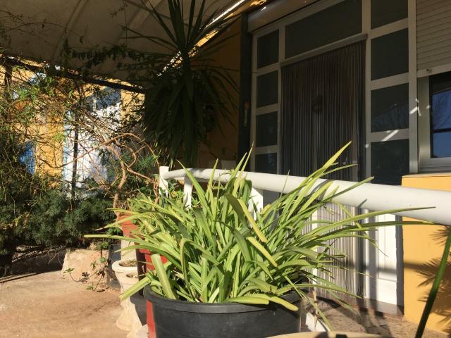 Terreno en venta en la Safor, Valencia