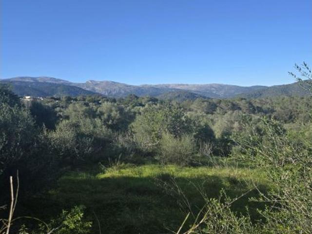 Local Comercial en venta en Ullaró, Raiguer