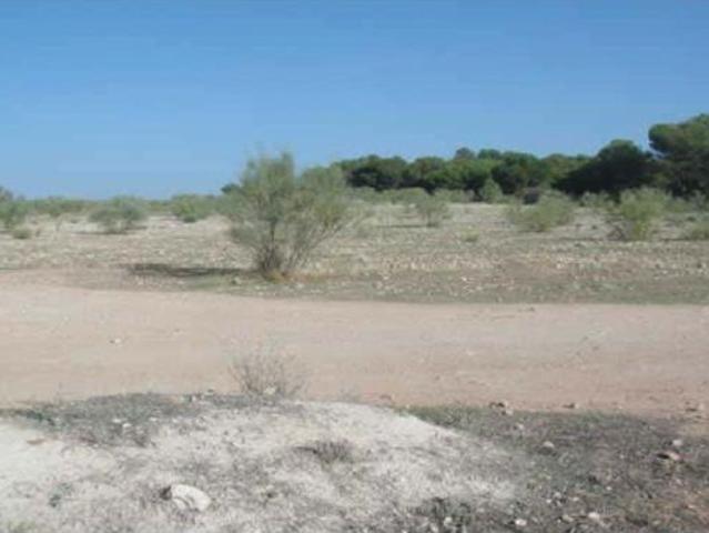 Local Comercial en venta en Comarca de la Vega de Granada, Andalucía