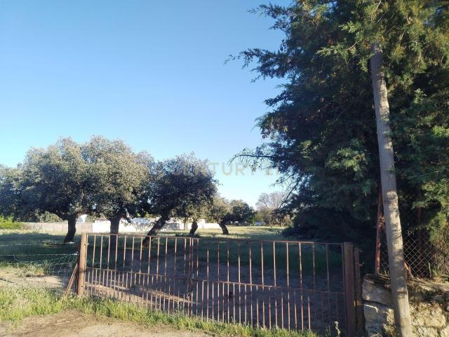 Terreno en venta en Monte del Casar, Casar de Cáceres