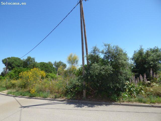 Local Comercial en venta en Maresme, Catalunya